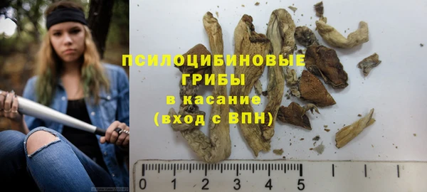 бутират Бородино