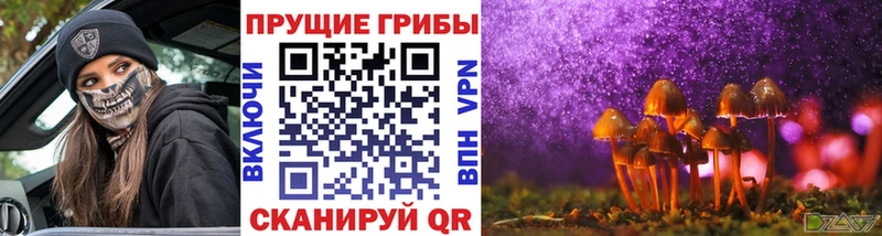 Галлюциногенные грибы Psilocybe  как найти закладки  Улан-Удэ 
